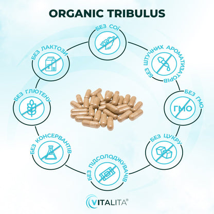 VITALITA Organic Tribulus (VEGAN) 500 mg